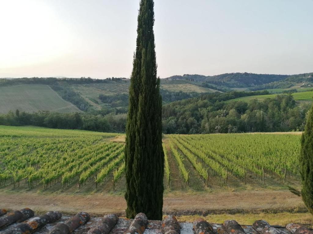 Villa Niccoli 카스텔피오렌티노 외부 사진